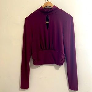 Brea Canyon Cropped Long Sleeve Top - Maroon